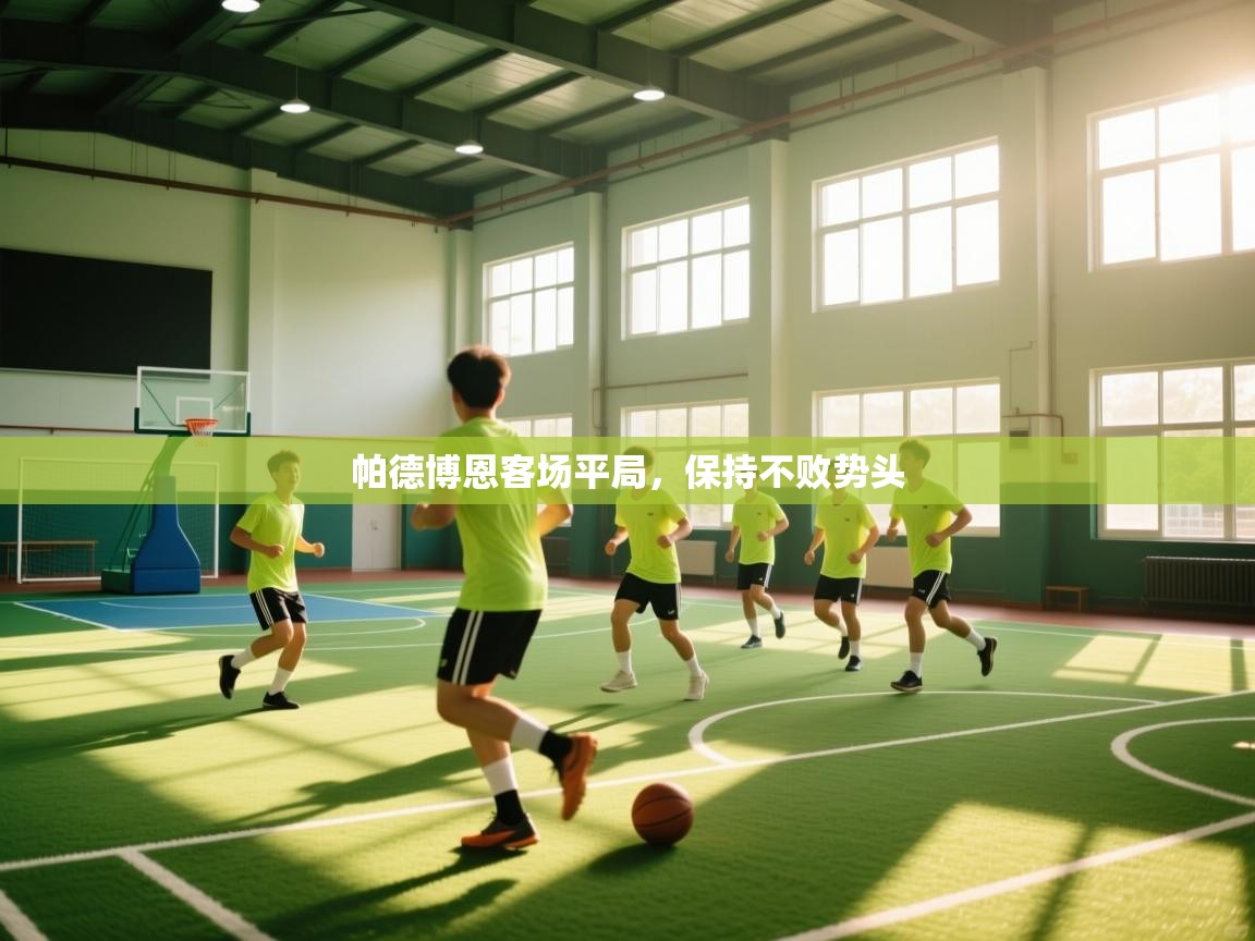 开云体育登录入口网址-帕德博恩客场平局，保持不败势头  第3张