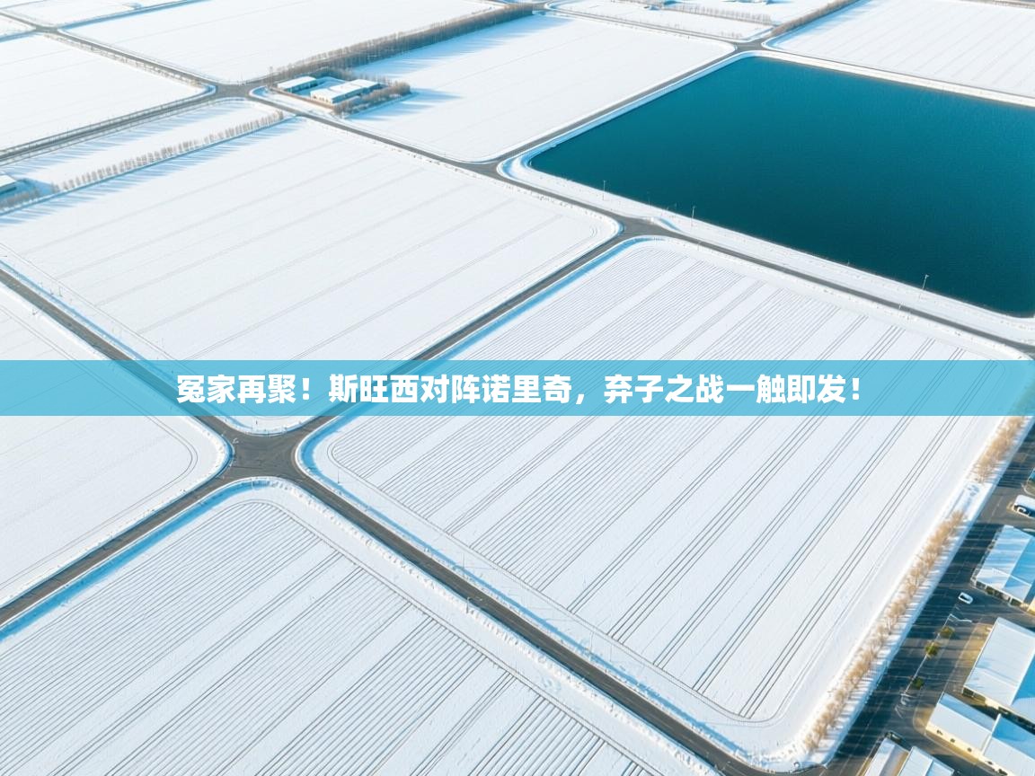 开云体育推送通知设置-冤家再聚！斯旺西对阵诺里奇，弃子之战一触即发！