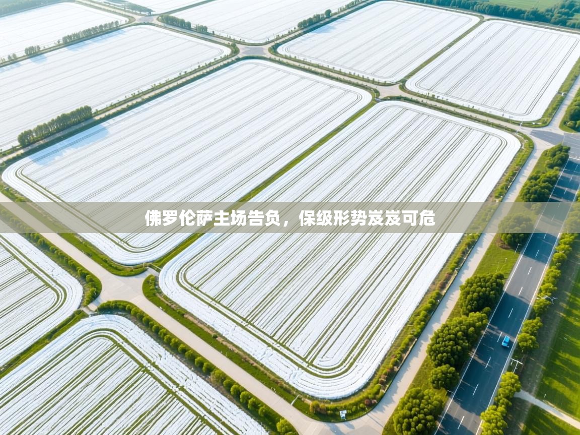 开云入口-佛罗伦萨主场告负，保级形势岌岌可危  第4张