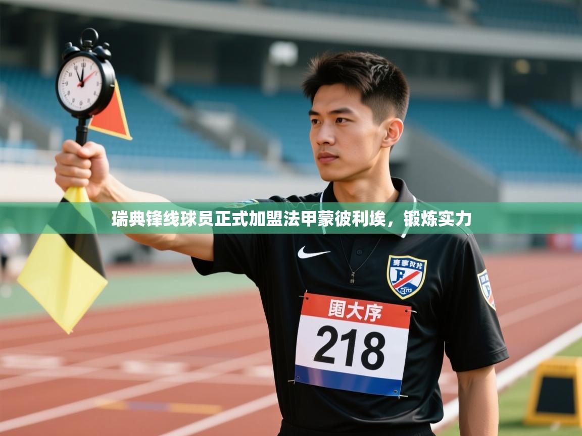 开云体育VIP权益说明-瑞典锋线球员正式加盟法甲蒙彼利埃，锻炼实力  第4张